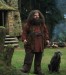 hagrid